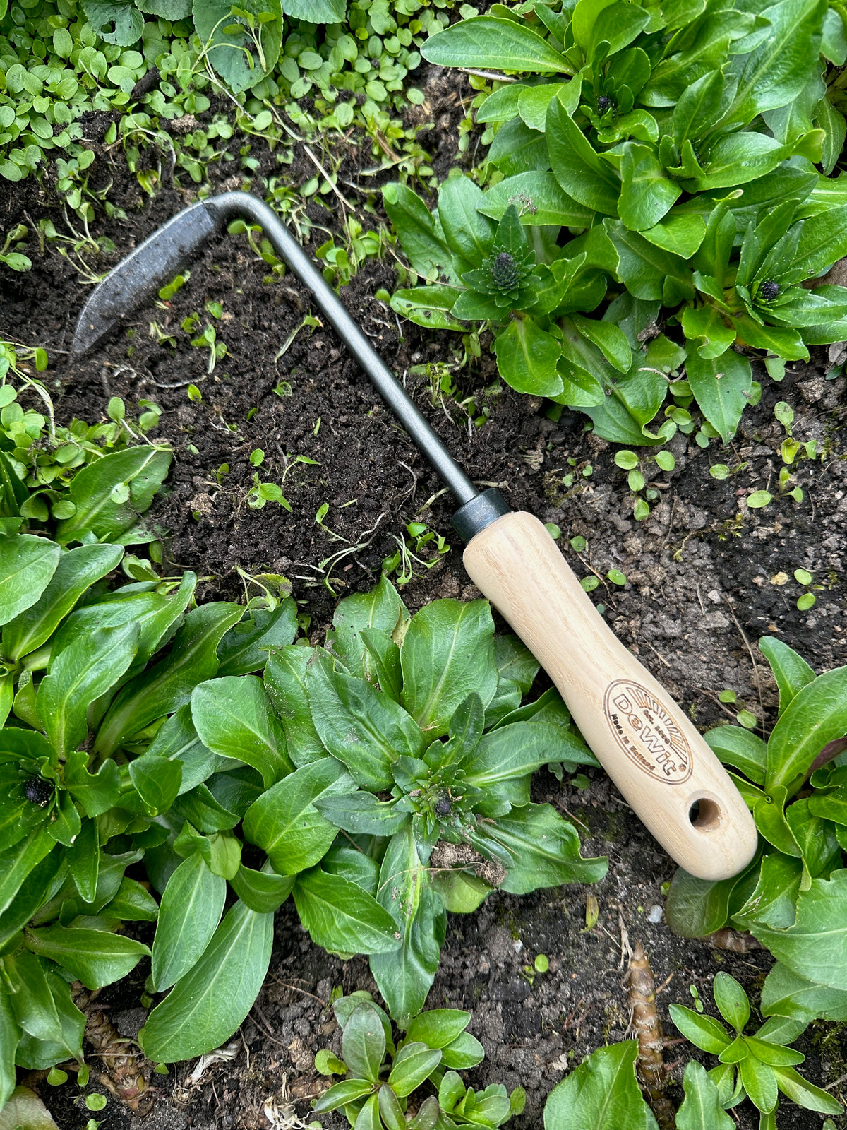 DeWit Cape Cod Right Hand Weeder, Head: 3.75&quot;L x 1.75&quot;W Total: 11.75&quot;L 0.5lbs