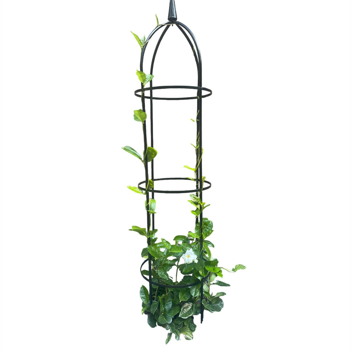 Steel obelisk garden structure, 94.5&quot; height, supports climbing plants.