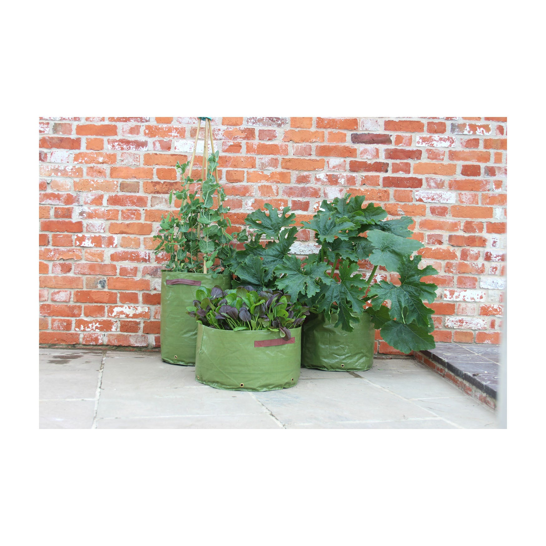 Vegetable Patio Planter 3pk on patio with various vegetables growing, ideal for small spaces like gardens and balconies.