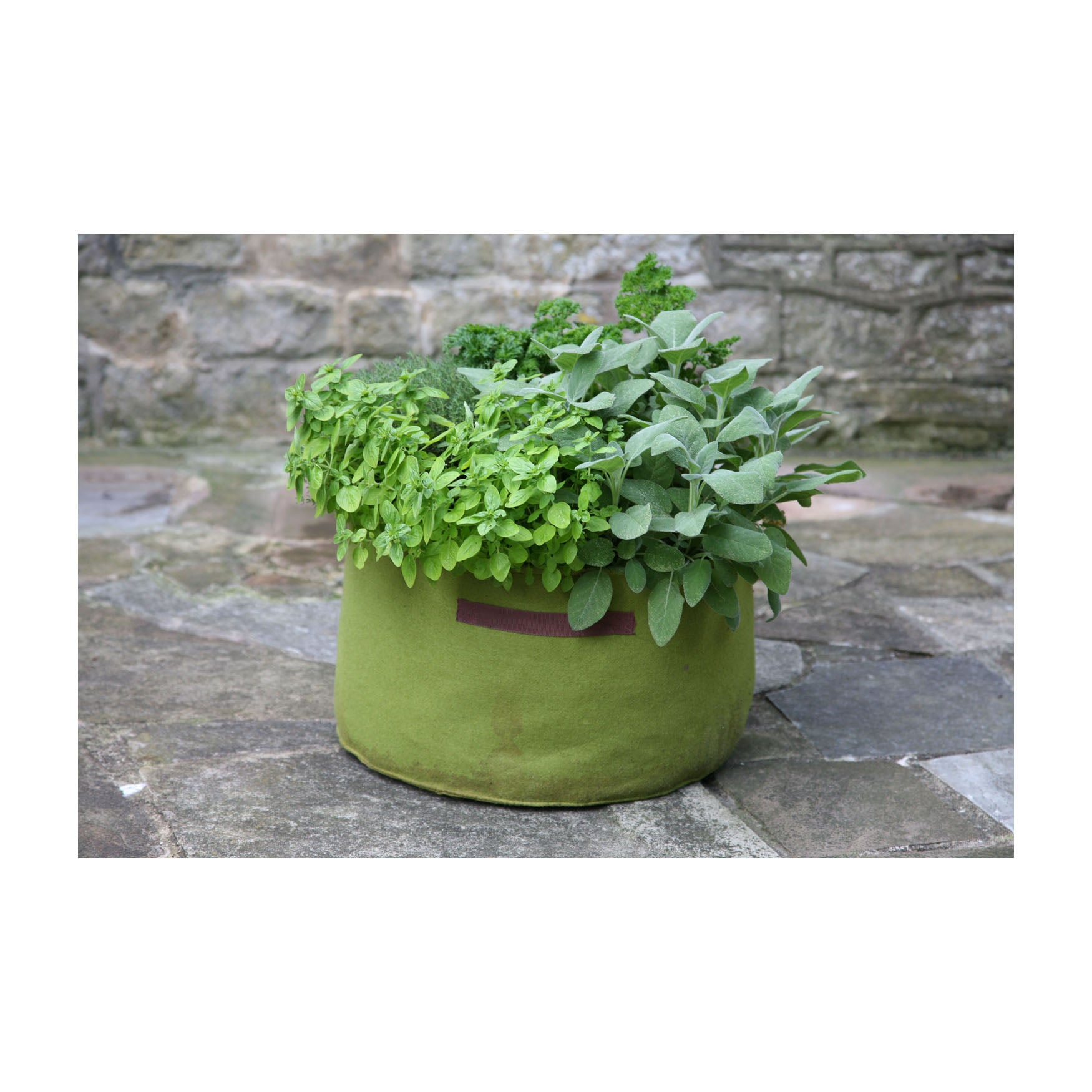 Vigoroot Herb Planter with green fabric design on stone patio.