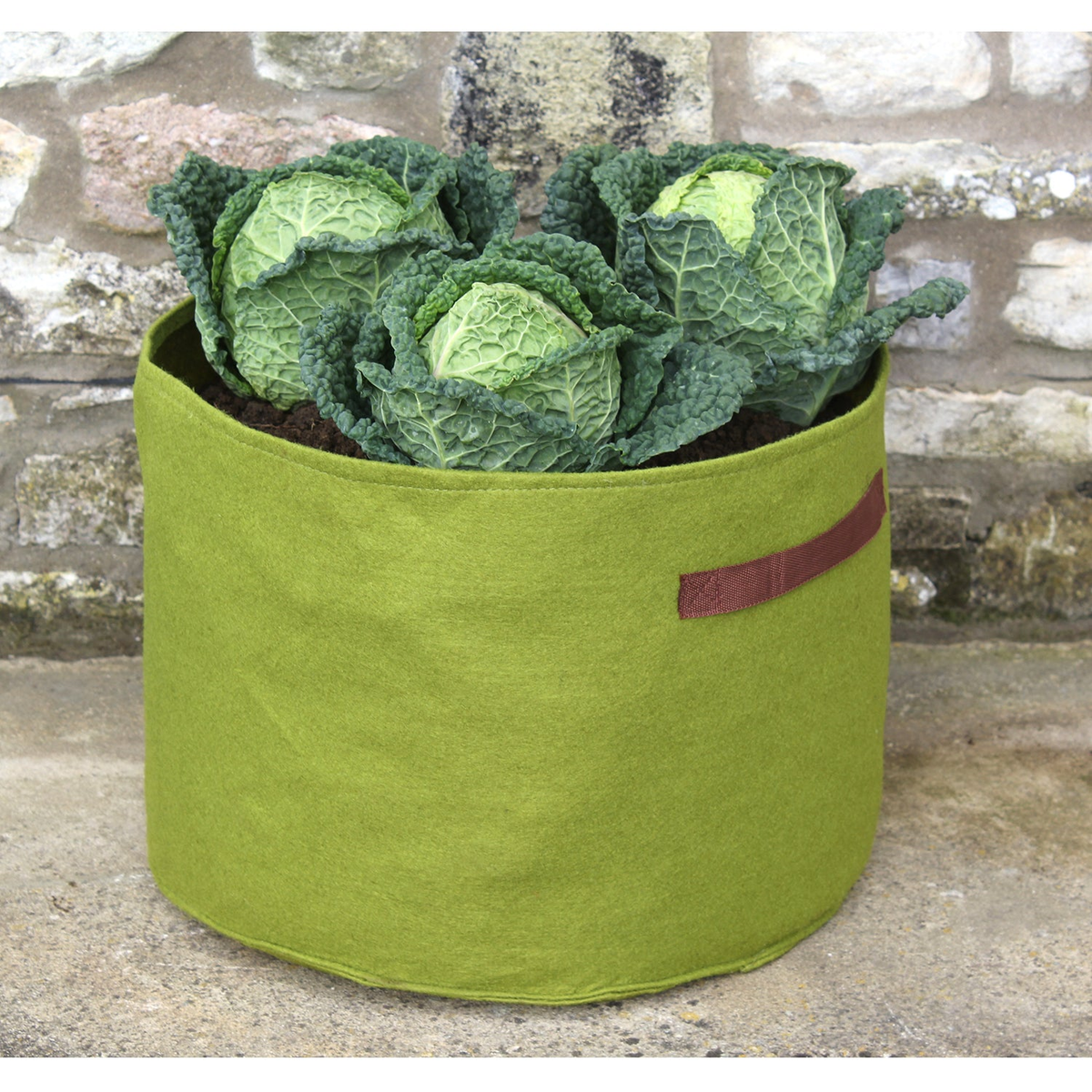 Vigoroot Vegetable Planter with green fabric and integrated handle, promoting healthy root growth for enhanced nutrient absorption.