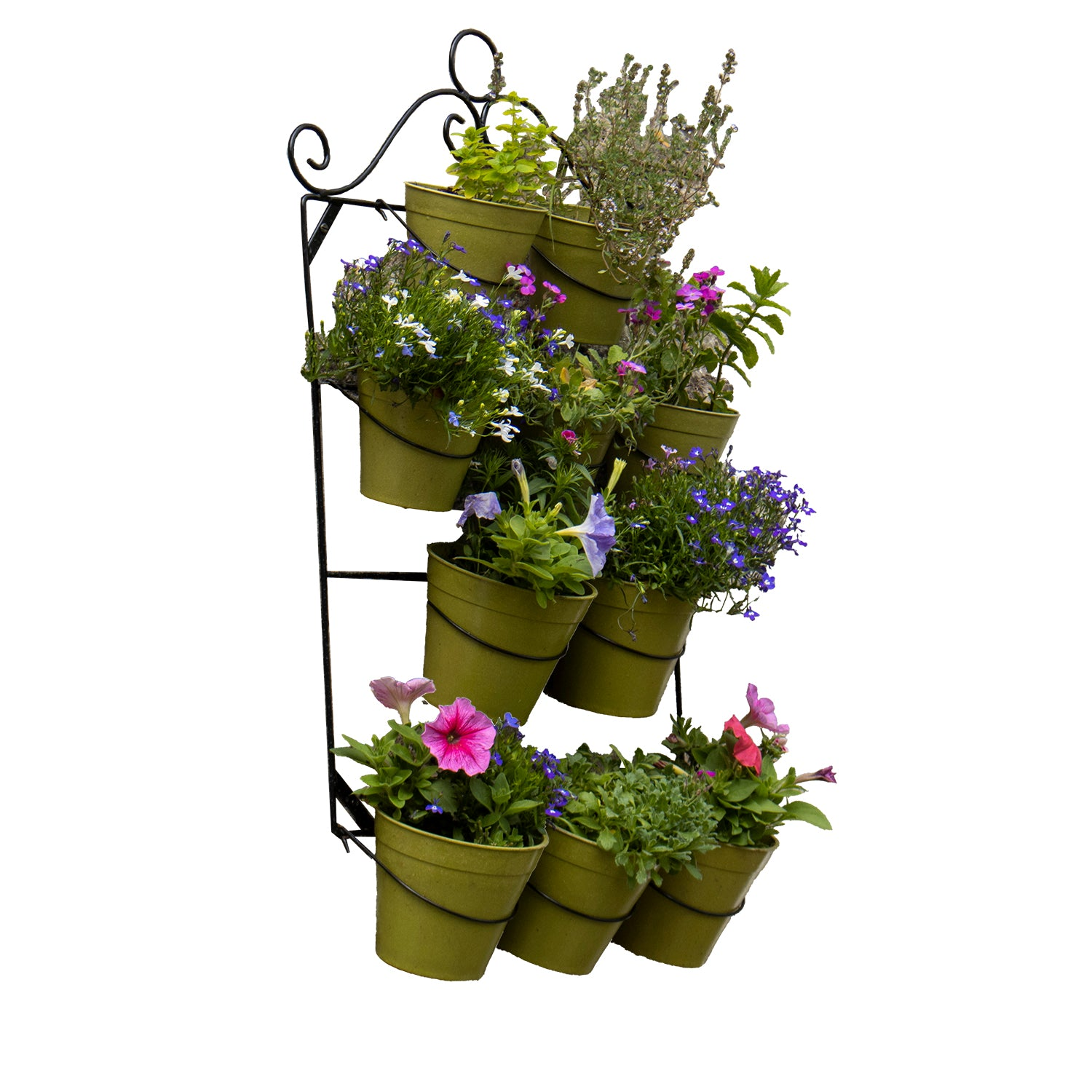 Italian style wall plant holder with green potted plants, crafted from powder-coated steel for herbs and flowers, includes wall mounting hardware, holds 10 pots.