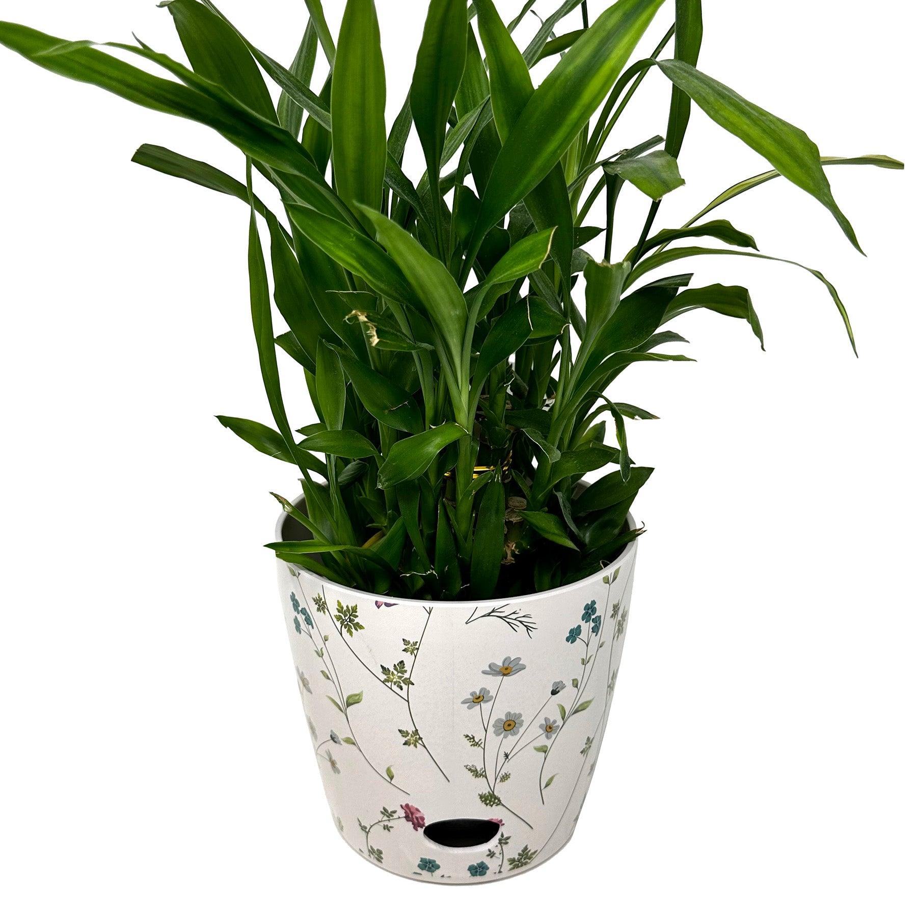 7" Wildflower Round Bamboo Self-Watering Plant Pot with green plant inside, eco-friendly and biodegradable design for indoor or outdoor use.